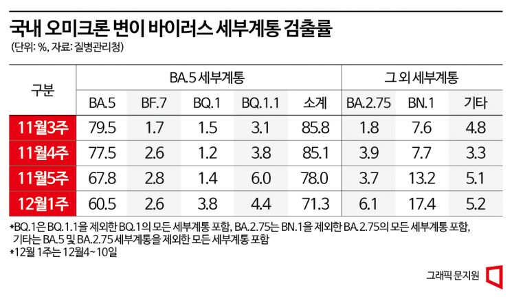 코로나19 겨울 재유행 '증가세' 전환…새 변이 BN.1 확산속도 관건