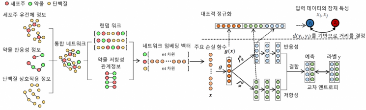 환자맞춤형 항암제 효능 예측 모델인 RAMP의 개념도.