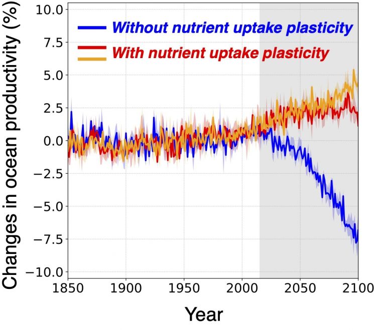 시간에 따른 전 지구 해양 순생산량 변화
바다 식물 플랑크톤의 영양 흡수 조절 능력을 가정한 기후 시뮬레이션 결과(빨간색 선, 주황색 선)에서는 기존 전망(파란색 선)과 달리 해양 순생산량이 증가하는 것으로 나타났다.