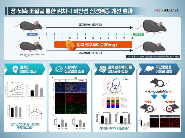 "김치 먹고 50kg 살 뺐다"… 美유튜버 주장, 과학적으로 밝혀졌다