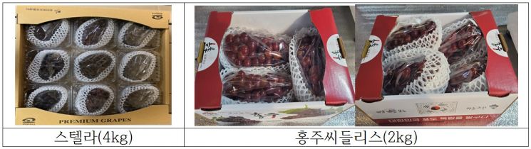 딸기·포도·마늘 '해외로'…농진청, 신품종 수출 길잡이