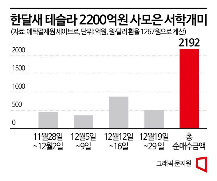 테슬라 쇼크에 2차전지株·ETF도 줄줄이 내리막
