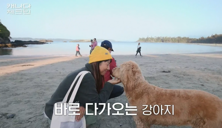 지난달 31일 방송된 tvN '캐나다 체크인' 3화에서 이효리가 무지개다리를 건넌 반려견 '순심이'와 닮은 강아지와 마주친 후 눈물을 보였다./tvN 방송 화면 캡처
