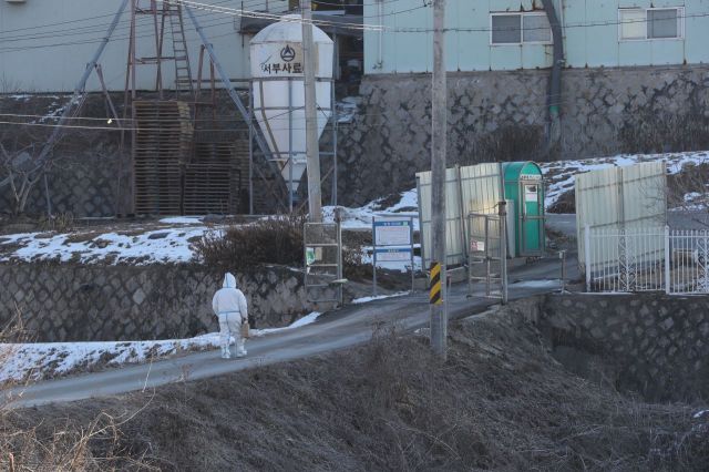 3일 경기도 연천군 군남면의 산란계 농장에서 방역당국 관계자가 농장 안으로 이동하고 있다. [이미지출처=연합뉴스]