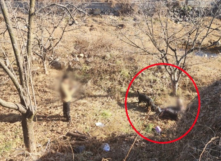 경남경찰청 수색견이 덤불 속에 있던 실종자를 발견한 모습. [이미지출처=경남경찰청]