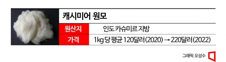 중국-인도 싸움소리 커지면 '캐시미어 옷' 사러 가자