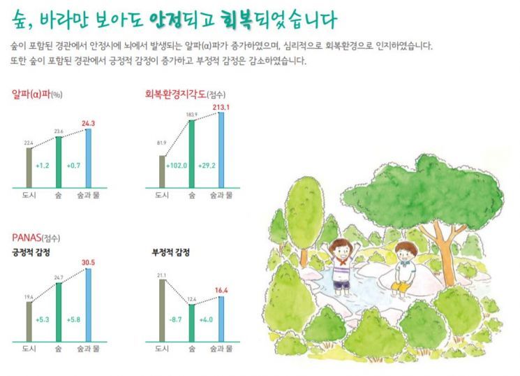 산림과학원은 숲이 가진 경관, 피톤치드, 음이온, 산소, 소리, 햇빛 등 치유인자는 인간의 긍정적 감정을 높이고 부정적 감정을 줄이는 데 효과가 있다는 연구조사 결과를 도출했다. 산림청 제공