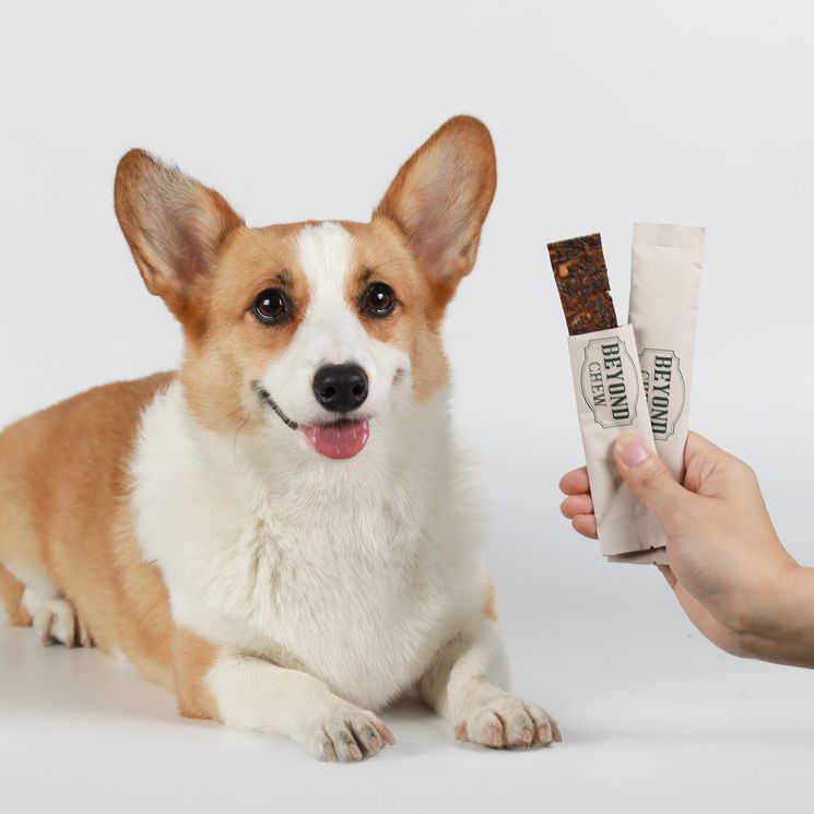 경기 농기원 특허기술 활용 반려견용 간식 출시