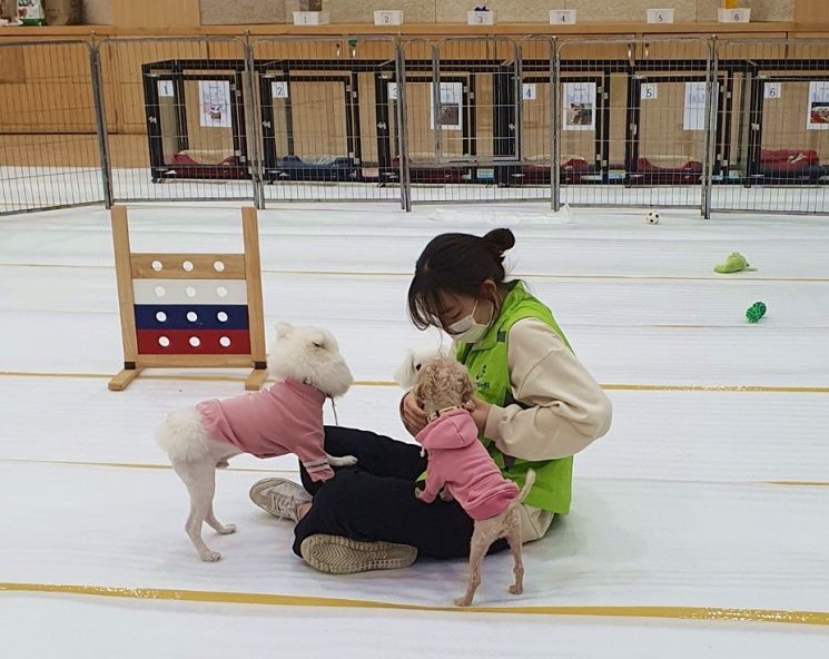 설 연휴 고향 방문 때 반려견 맡기세요