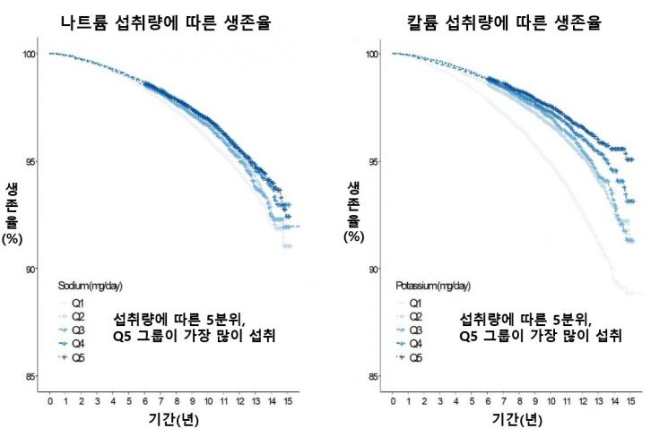 짜게 먹는 사람이 빨리 죽는다?…"나트륨 섭취, 사망과 관련 없어"