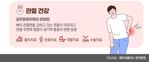 [콕!건강]깡충깡충 '토끼의 해'… 관절 건강 잡아볼까