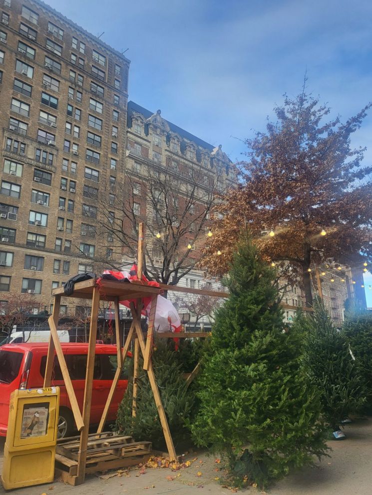 작년 12월 초 뉴욕 맨해튼 주택가 거리에서 판매 중인 크리스마스 장식용 생나무들