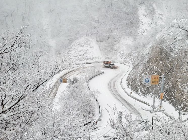 '최고 59㎝' 강원도에 이틀간 눈폭탄…차량고립