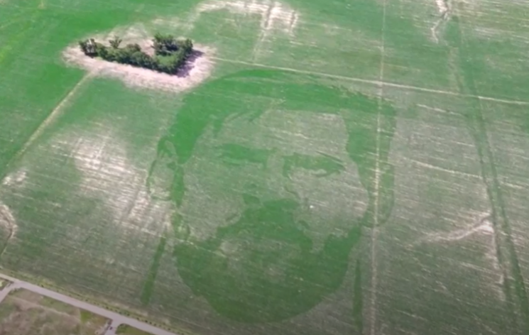 아르헨티나 옥수수밭에서 볼 수 있는 리오넬 메시 얼굴 / [이미지출처=로이터통신 영상 갈무리]
