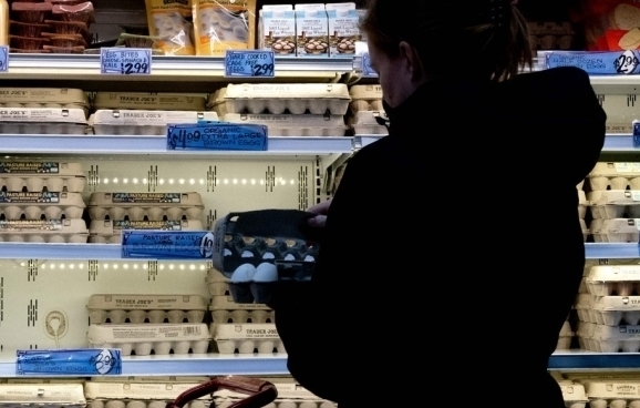 19일(현지시간) 미국 워싱턴DC의 한 식료품점에서 손님이 계란을 고르는 모습. / 사진=AFP연합뉴스