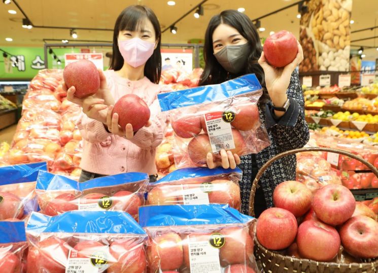 롯데마트 서울역점에서 모델들이 '양구 펀치볼 사과'를 소개하고 있다. [사진제공=롯데마트]