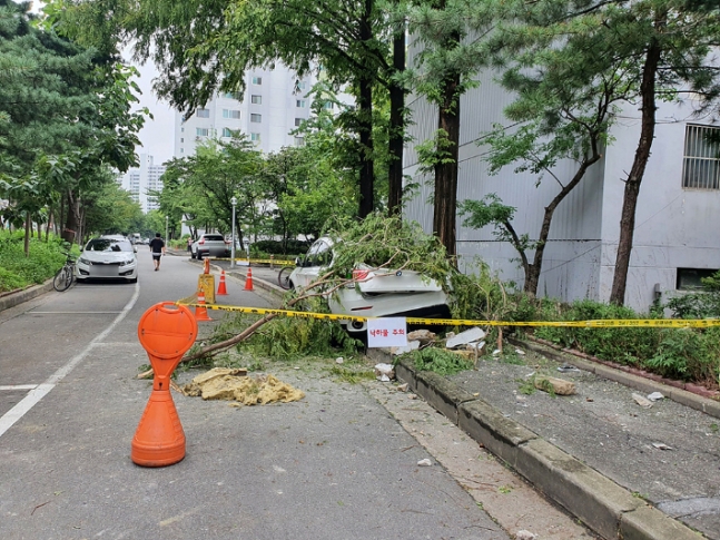 서울 양천구 목동신시가지 단지에서 부서진 외벽이 추락해 차량이 파손된 모습 / 사진=양천구