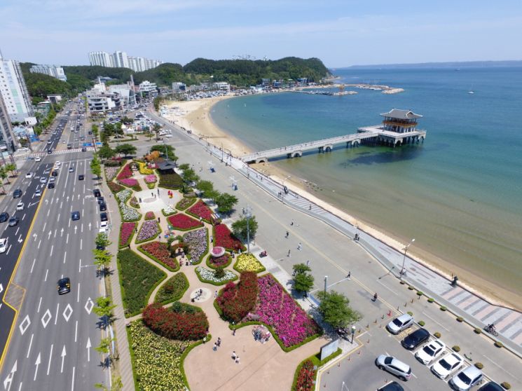 아름다운 바다·장미의 향연, ‘포항 바다장미축제’ 개최