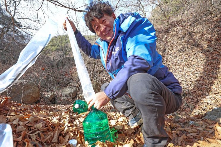 경남 산청 지리산부처골농원 손수만 씨가 고로쇠 수액을 채취 하고 있다.