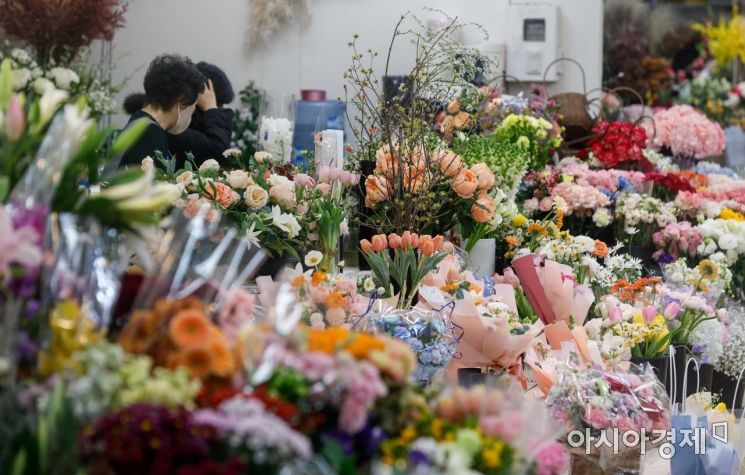 [포토]봄기운 가득한 꽃시장