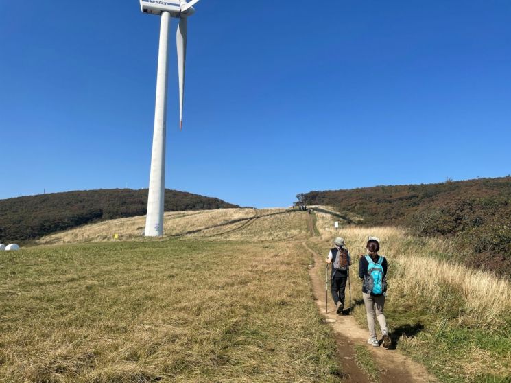 성인 10명 중 7.8명 “월별 한 번 이상 山 찾아”