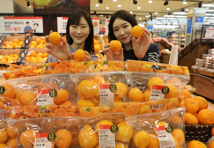 롯데마트 서울역점에서 모델들이 균일가 감귤류 상품을 소개하고 있다. [사진제공=롯데마트]