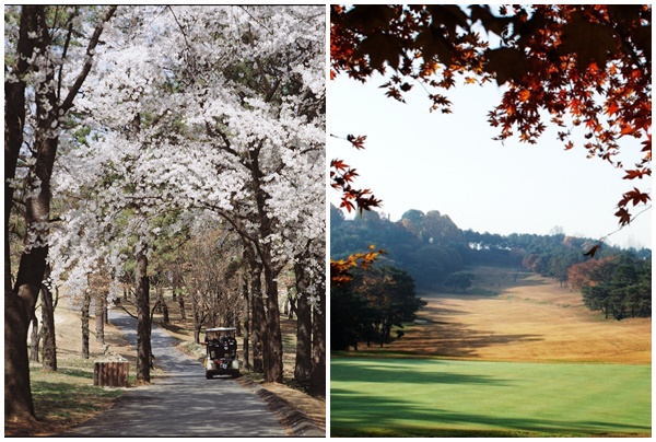자연조건을 최대한 활용한 서울·한양CC의 골프 코스는 계절마다 만발하는 꽃들과 가을단풍이 볼거리다.[사진제공=서울·한양CC]