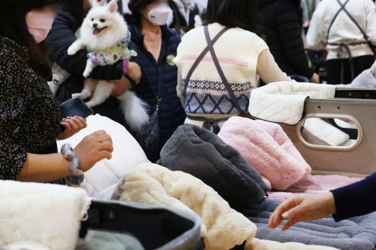 개모차 산책에 명품옷까지 입힌다…딩펫족 두고 찬반 논쟁