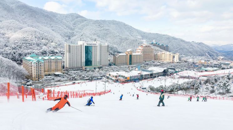 비발디파크 스키장에서 이용객들이 스키와 스노보드를 즐기고 있다.[사진제공=대명소노그룹]