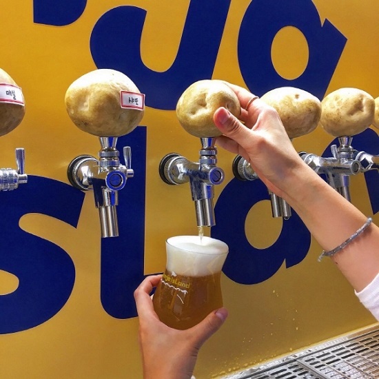 감자아일랜드, 감자 수제맥주를 통해 중소도시 회복의 활력 불어넣어