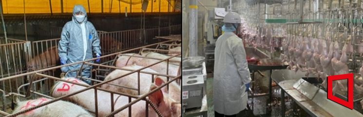 '사전 예방 중심'…강원도, 가축 전염병 선제 대응
