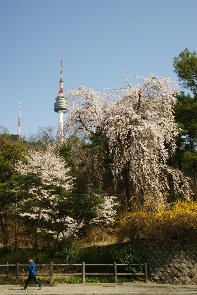 해설사와 함께 하는 영등포구 도보관광 