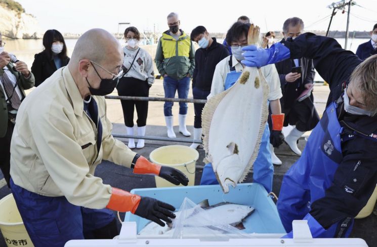 지난해 11월 국제원자력기구(IAEA) 조사단이 후쿠시마현 이와키시 항구에서 채취한 물고기 샘플을 옮겨담고 있다. 이와키=교도·연합뉴스