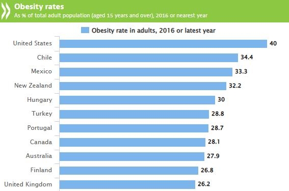 2017 OECD 회권국 비만인구 비율 [자료출처=OECD 보고서 캡처]