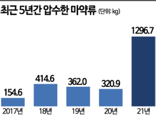 검찰, 4대권역 마약범죄 특별수사팀 출범…서울·인천·부산·광주