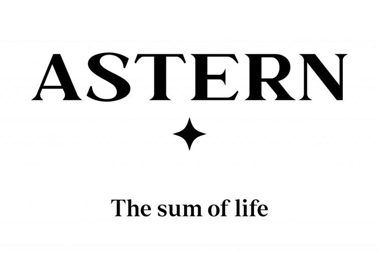 아스터개발 ‘아스턴’ 브랜드 앞세워 강남권 집중 공략