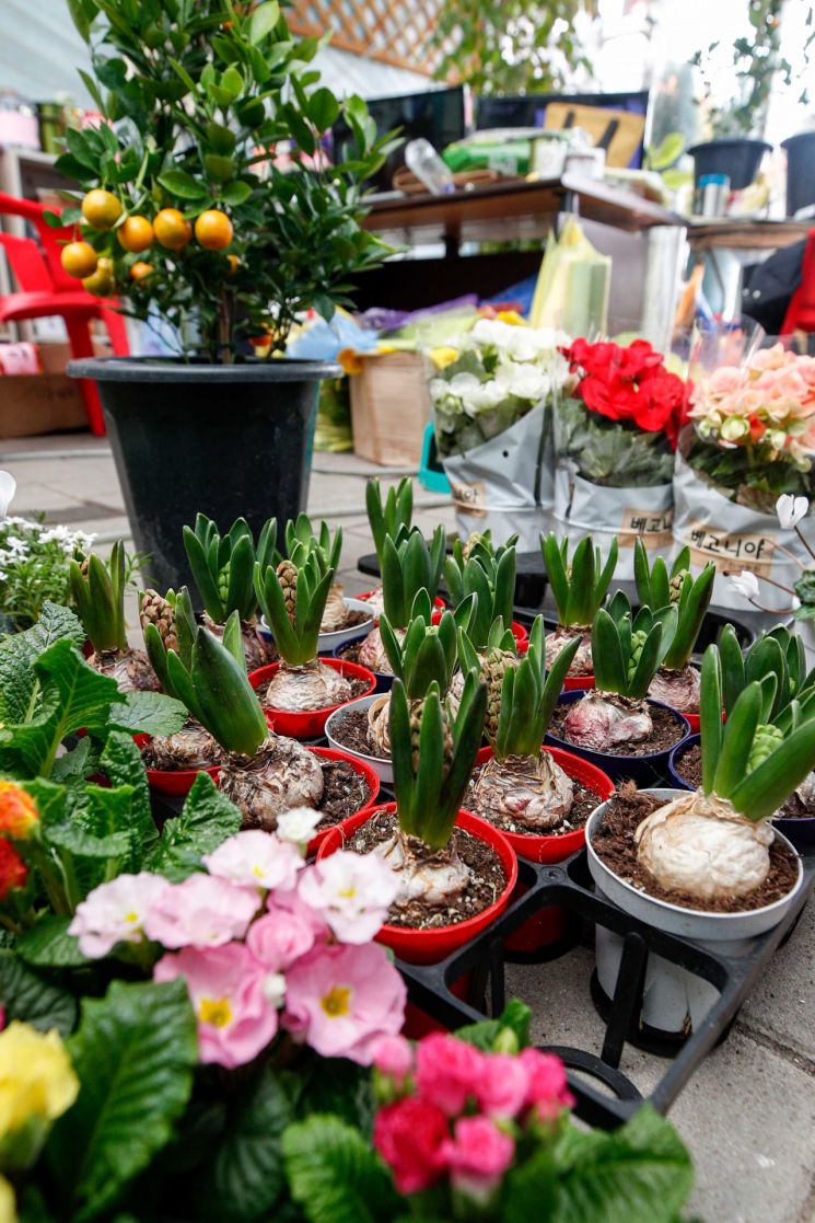 [포토]봄의 전령