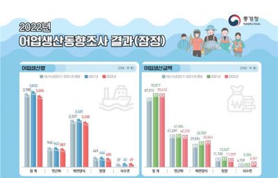 지난해 어업 생산액 404억원↓…단가 높은 원양어업 감소 탓