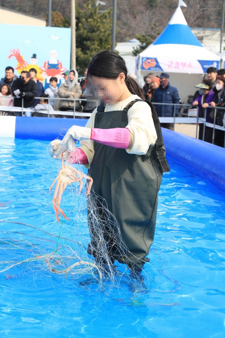 대게들 관광객에 손짓 … ‘울진대게와 붉은대게 축제’