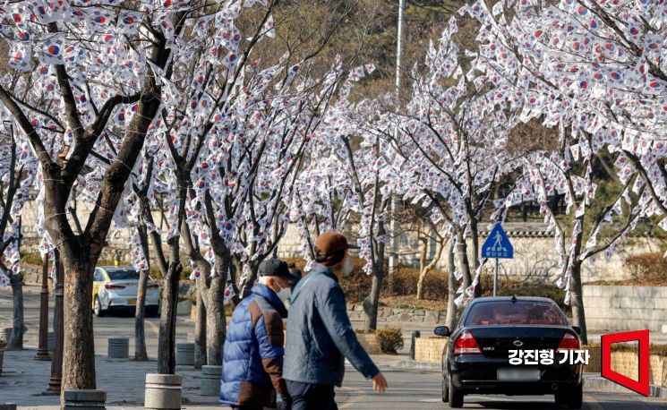 [포토]태극기 나무