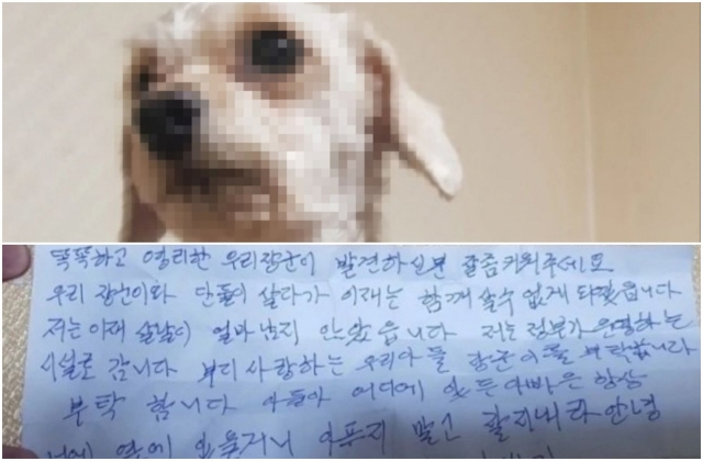 "부디 잘 부탁합니다…" 유기견 쪽지, 분노 아닌 눈물 나온 사연