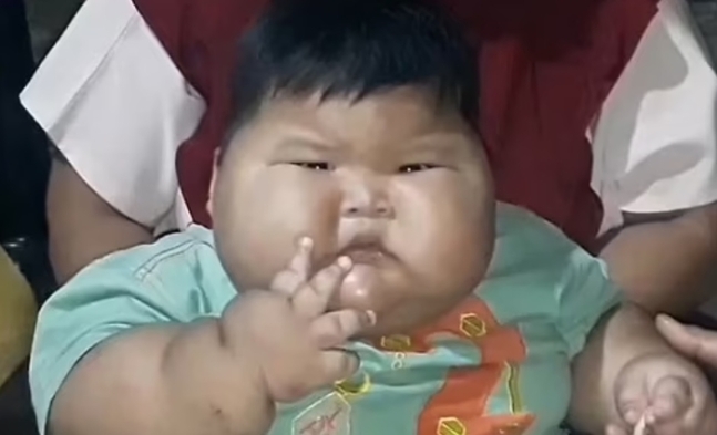 인도네시아에서 27kg에 육박하는 몸무게를 가진 생후 16개월 아이가 화제다. [사진 출처=데일리메일]