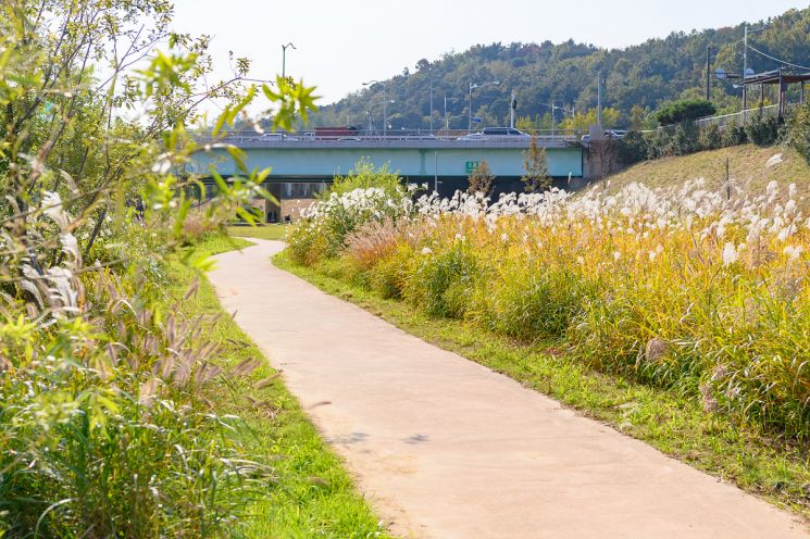 봄바람 불면 안양천 수변 산책로 걸어요