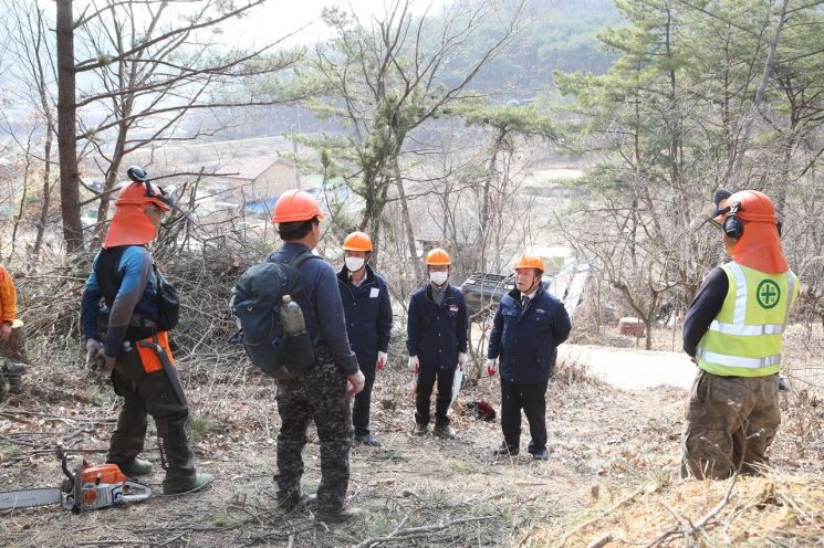 함안군, 벌목 작업 현장 안전사고 예방점검