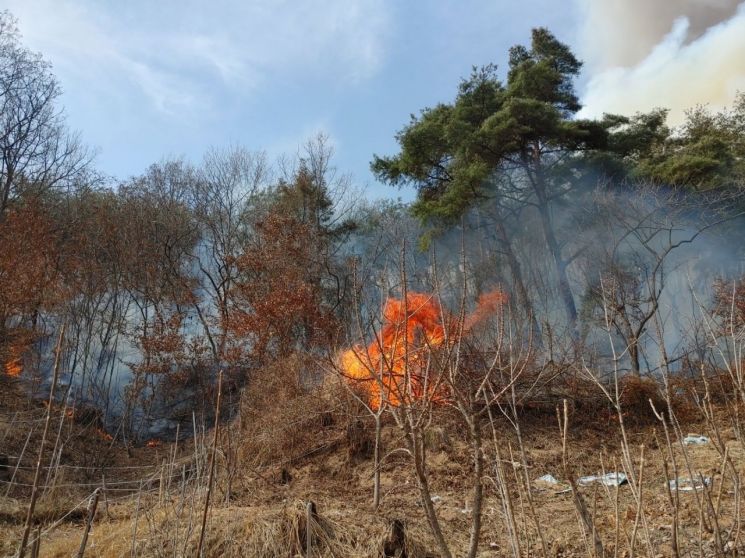 경남 합천군 용주면 월평리 인근 야산에서 불길이 피어오르고 있다. [사진제공=합천군청]