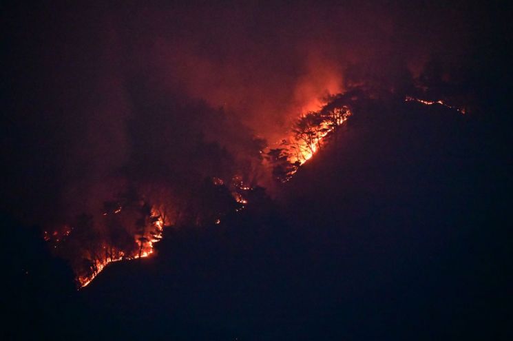 경남 합천군 용주면 인근 야산에서 난 불이 산림을 태우고 있다. [사진제공=경남도청]