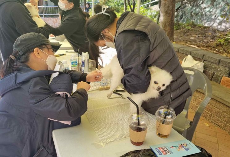 찾아가는 동물병원에서 주민이 반려동물 간이검진, 위생미용을 받고 있다.