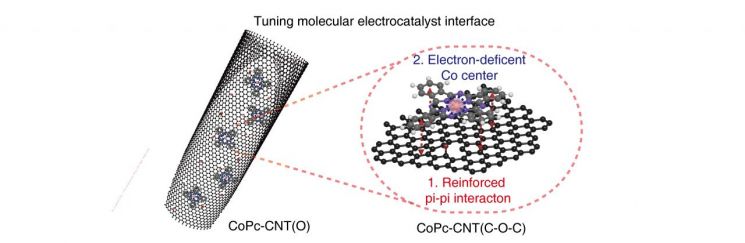 연구진이 개발한 촉매의 모식도
연구진은 탄나노튜브 위에 평면구조를 지니는 CoPc(Cobalt Phthalocyanine)를 안정화시킨 새로운 전기 촉매를 개발했다. 이 촉매를 통해 5wt%의 고농도의 과산화수소를 전기적으로 생산해낼 수 있었다. 친환경적인 전기에너지만 사용하면서도 과산화수소 생산에 소모된 에너지는 산업적 안트라퀴논 공정의 1/4수준(16GJ/ton vs 70GJ/ton)에 불과하다.
<그림제공=IBS>