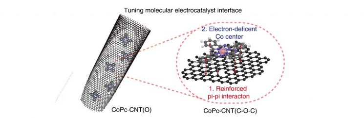 연구진이 개발한 촉매의 모식도
연구진은 탄나노튜브 위에 평면구조를 지니는 CoPc(Cobalt Phthalocyanine)를 안정화시킨 새로운 전기 촉매를 개발했다. 이 촉매를 통해 5wt%의 고농도의 과산화수소를 전기적으로 생산해낼 수 있었다. 친환경적인 전기에너지만 사용하면서도 과산화수소 생산에 소모된 에너지는 산업적 안트라퀴논 공정의 1/4수준(16GJ/ton vs 70GJ/ton)에 불과하다. 

＜그림제공=IBS＞