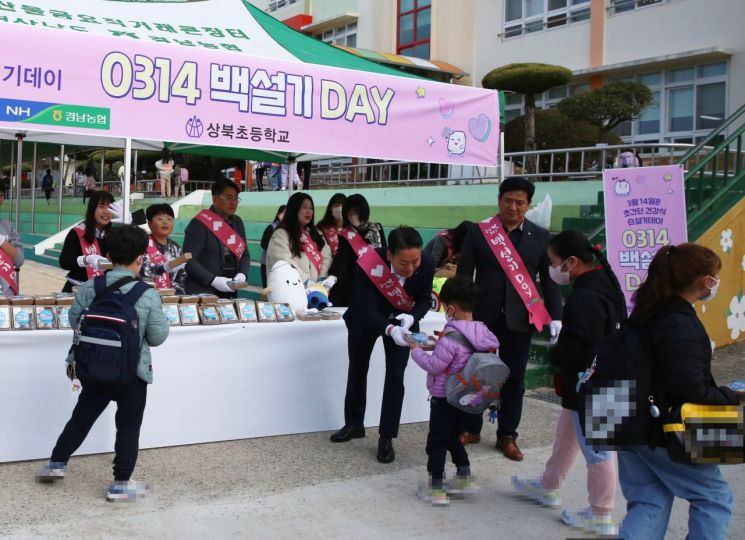 상북초등학교에서 등교하는 학생들을 대상으로 백설기와 현미우유 세트를 나눠주고 있는 모습. [이미지제공=경남농협]